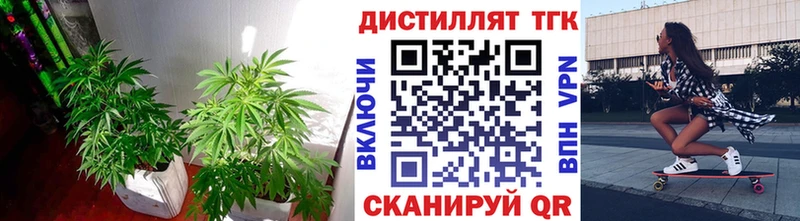 Купить закладки  Янаул  ТГК концентрат 
