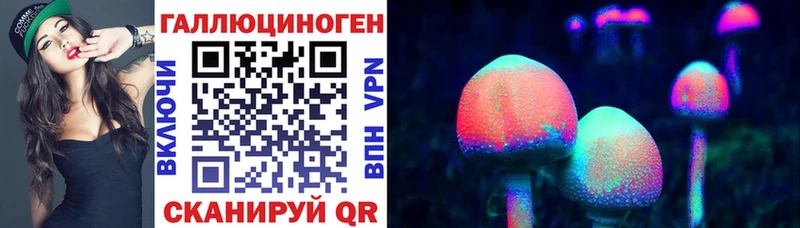 Купить  Янаул  Галлюциногенные грибы Psilocybe 